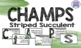 CHAMPS Posters- Striped Succulent