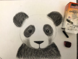CHARCOAL PANDA & KOALA ART LESSON Grade 3-8