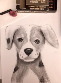 White Charcoal Original Puppy Drawing-Part 4 — Steemit