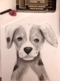 CHARCOAL PUPPY DRAWING ART LESSON Grade 4-8