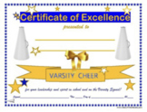 10 CHEER AWARDS Variety BUNDLE! Cheer Coach! Varsity, JV, 