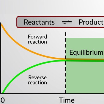 Preview of CHEMICAL EQUILIBRIUM EXPLAINED