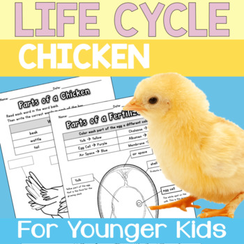 Preview of CHICKEN AND EGG: LIFE CYCLE UNIT (EGG INCUBATION ACTIVITIES)