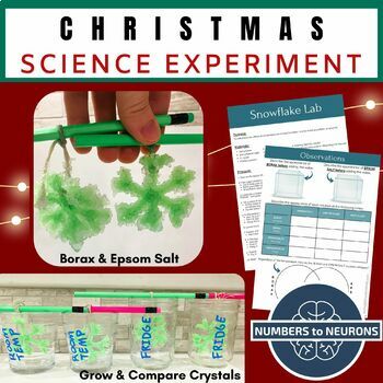 Preview of CHRISTMAS EXPERIMENT Growing Borax vs Epsom Salt Crystal Pipe Cleaner Snowflakes