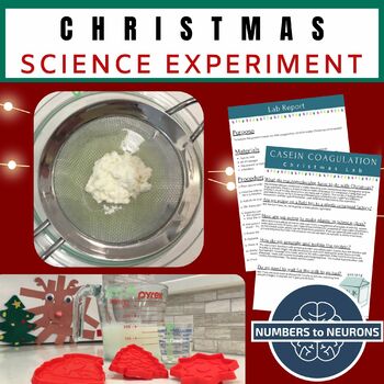 Preview of Christmas Activities in Science for Middle School - Science Christmas Ornaments