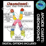 SCIENCE ANCHOR CHART / SCAFFOLDED NOTE: THE CHROMOSOME ; I