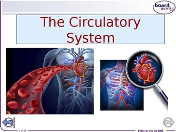 Preview of CIRCULATORY SYSTEM