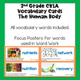 CKLA 2nd Grade Vocabulary Cards Domain 10: The Human Body