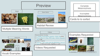 Preview of CKLA, 2nd grade, Knowledge- Unit 8: Insects, Support Slides/Resources Needed