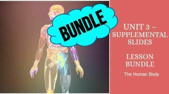 Preview of CKLA 3rd Grade Unit 3 Human Body Supplemental Teaching Slides BUNDLE