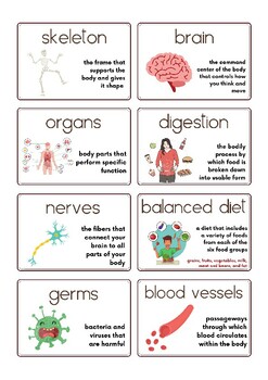 Preview of CKLA Aligned Vocabulary Cards: The Human Body