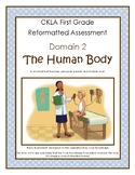 CKLA Grade 1 Domain 2 The Human Body Alternative Assessmen