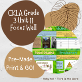 CKLA Grade 3 Unit 11 Focus Wall