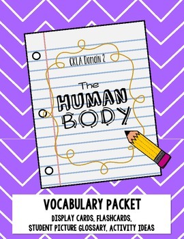 Preview of CKLA Human Body Vocabulary Pack, Grade 1