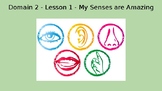 CKLA - Kindergarten - Domain 2 / Lesson 1: My Senses are Amazing!