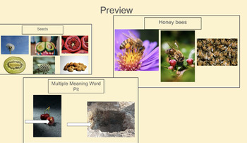 Preview of CKLA, Kindergarten, Knowledge- Unit 4:  Plants Support Slides