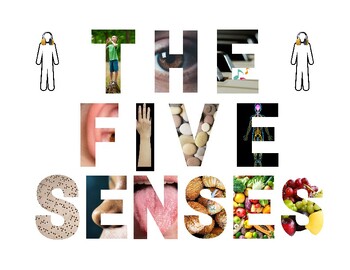 Preview of CKLA Kindergarten Unit 2:  The Five Senses Title,Bulletin Board