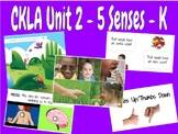 CKLA Knowledge Unit 2 The Five Senses- Kindergarten