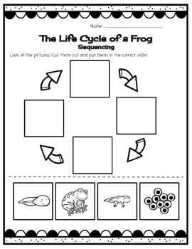 CKLA-The Life Cycle of a Frog by Julia Alwine | TPT