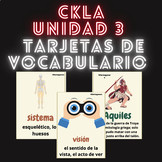 CKLA UNIDAD 3 - Tarjetas de vocabulario ESPANOL: el cuerpo humano