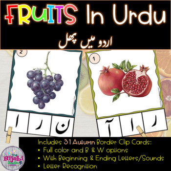 Preview of CLIP CARDS FRUITS IN URDU