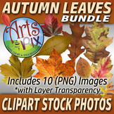 CLIPART Stock Photos - "Autumn Leaves" Bundle - Clipart - 