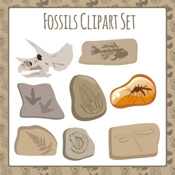 dinosaur bone clipart