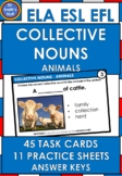 COLLECTIVE NOUNS - Task cards, NO PREP Practice Sheets, An