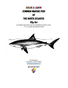 Preview of COLOR & LEARN - Common Marine Fishes of the North Atlantic