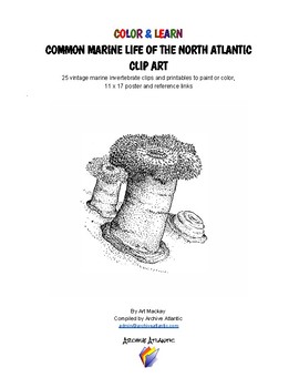 Preview of COLOR & LEARN - Common Marine Life of the North Atlantic