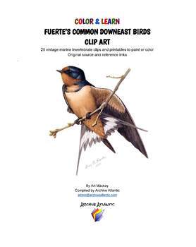 Preview of COLOR & LEARN -  Fuerte's Common Downeast Songbirds