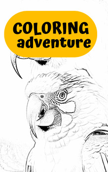 Preview of COLORING adventure