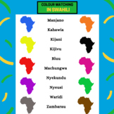 COLOUR MATCHING ACTIVITY IN SWAHILI  AFRICAN-THEMED COMMER