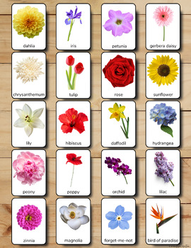 COMMON FLOWERS Montessori Cards Flash Cards Three-Part/Nomenclature ...