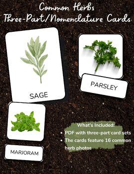 Preview of COMMON HERBS Montessori Cards Flash Cards Three-Part/Nomenclature FlashCards