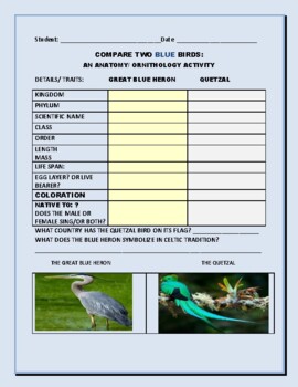 Preview of COMPARE 2 BLUE BIRDS: AN ORNITHOLOGY ACTIVITY: GRS. 6-12, MG