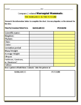 Preview of COMPARE 2 MARSUPIAL MAMMALS: KANGAROO & POSSUM/ GRS.5-12, MG, BIO, ZOOLOGY