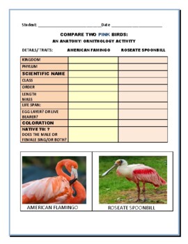 Preview of COMPARE 2 PINK BIRDS: THE AMERICAN FLAMINOGO & ROSEATE SPOONBILL: GRS. 6-12, MG