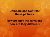 COMPARE AND CONTRAST PICTURES