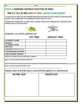 Preview of COMPARE/CONTRAST: THE FIG TREE & THE APRICOT TREE:  A BOTANY ACTIVITY