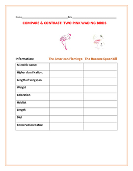 Preview of COMPARE & CONTRAST: TWO WADING BIRDS: A SCIENCE/ZOOLOGY ACTIVITY