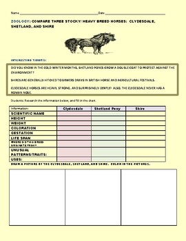 Preview of COMPARE THREE HEAVY HORSE BREEDS: A SCIENCE ACTIVITY