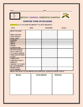 Preview of COMPARE THREE SPICES: BASIL, CINNAMON & FENNEL: A BOTANY ACTIVITY