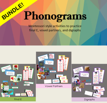 Preview of COMPLETE Phonogram Program: Final E, Vowel Partners, Digraphs