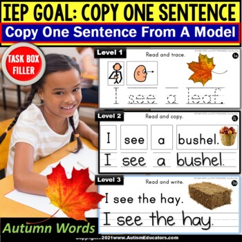 Preview of COPY Sentences | AUTUMN Trace-Copy-Write for Fine Motor Skills Task Box Filler