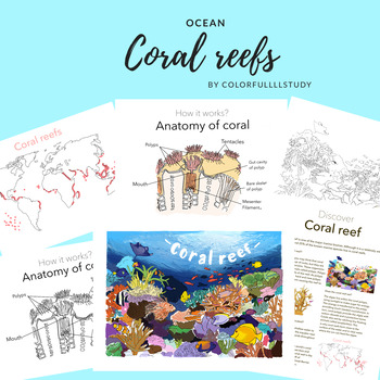 CORAL REEF - by colorfullllstudy by Colorfullllstudy | TPT