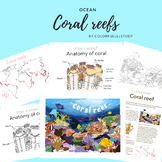 CORAL REEF - by colorfullllstudy