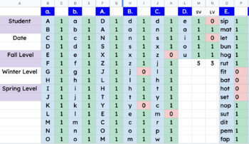 Preview of CORE Phonics Survey AutoSum Recording Sheet