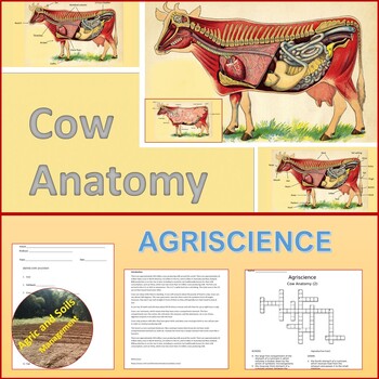 COW ANATOMY by Agricultural Education and Agriscience | TpT
