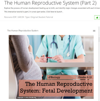 Preview of CPALMS: Reproduction System Part 2 (Pregnancy) Tutorial Outline